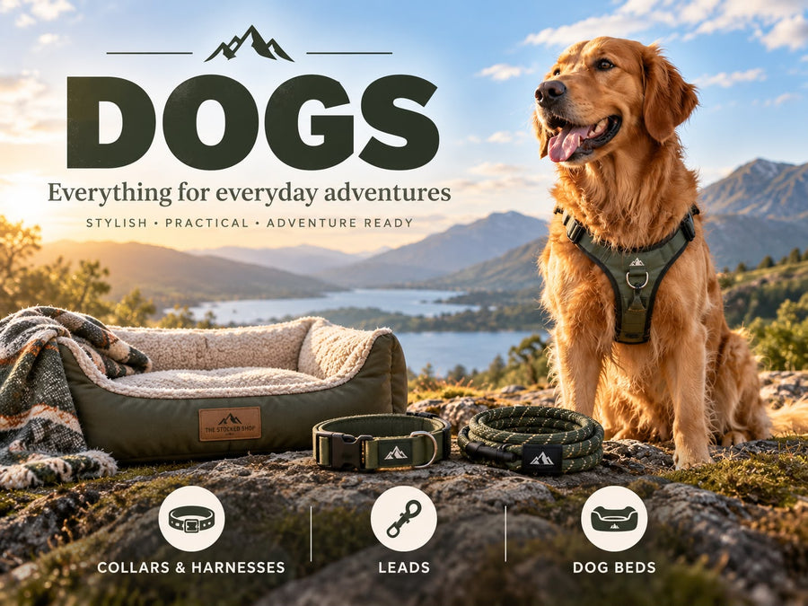 Dogs