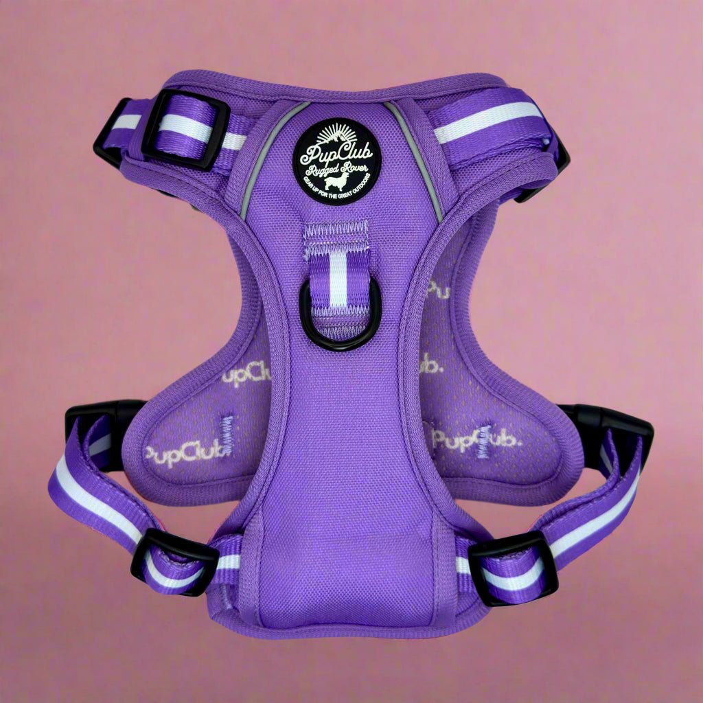 Matching dog walking sets
