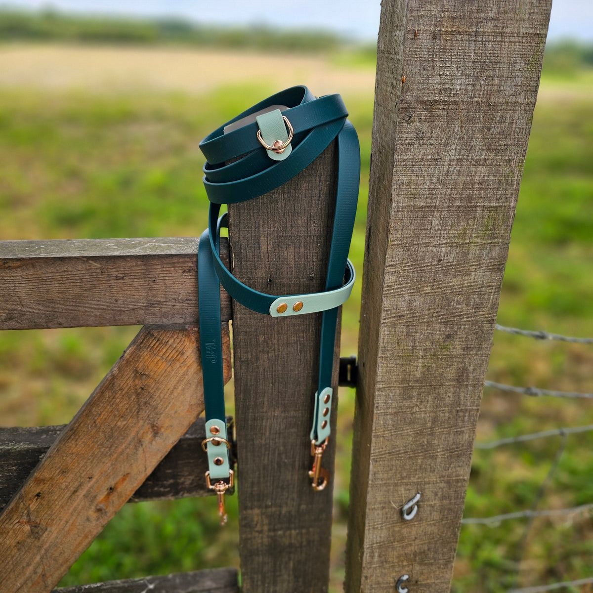 Dark Green & Sage – Waterproof BioThane© Hands-Free Dog Training Lead