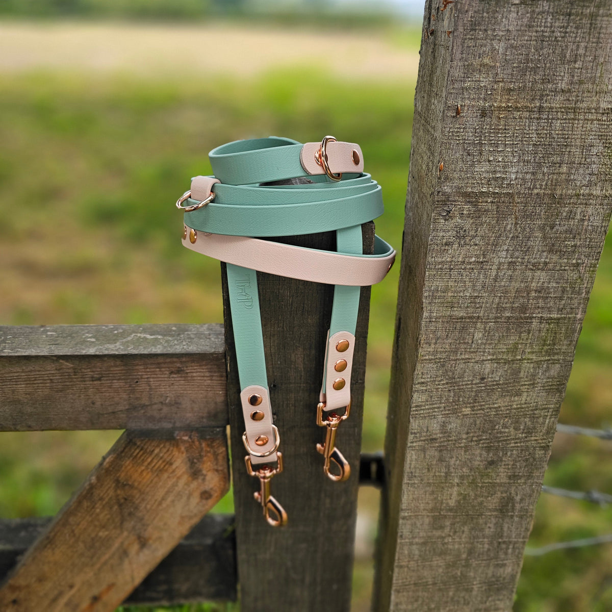 Sage & Powder Pearl – Waterproof BioThane© Hands-Free Dog Training Lead
