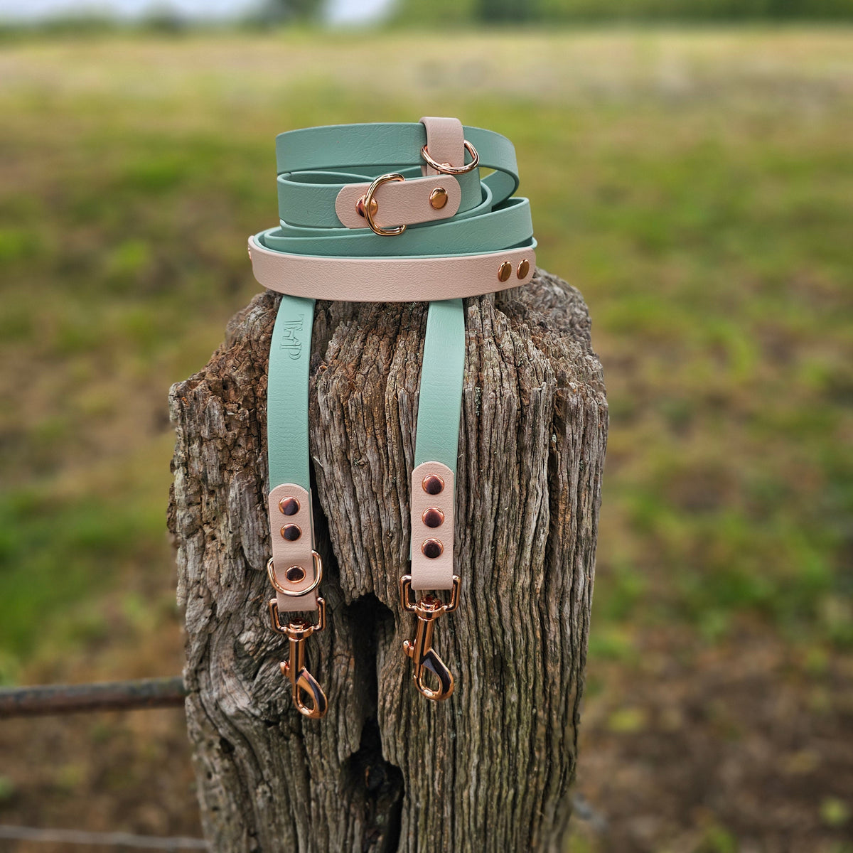 Sage & Powder Pearl – Waterproof BioThane© Hands-Free Dog Training Lead