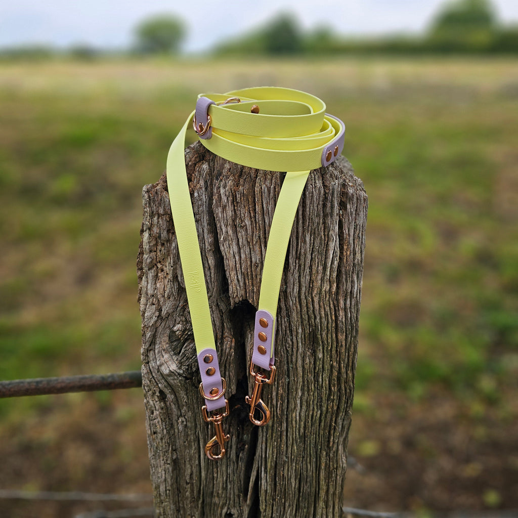 Lemon & Lilac – Waterproof BioThane© Hands-Free Dog Training Lead