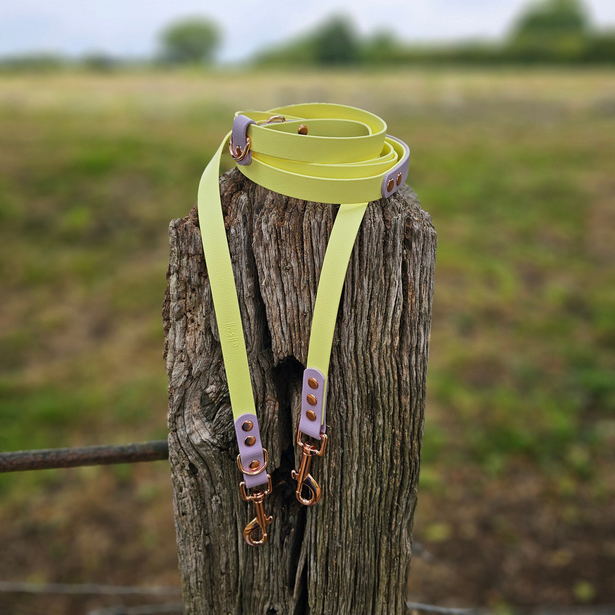 Lemon & Lilac – Waterproof BioThane© Hands-Free Dog Training Lead