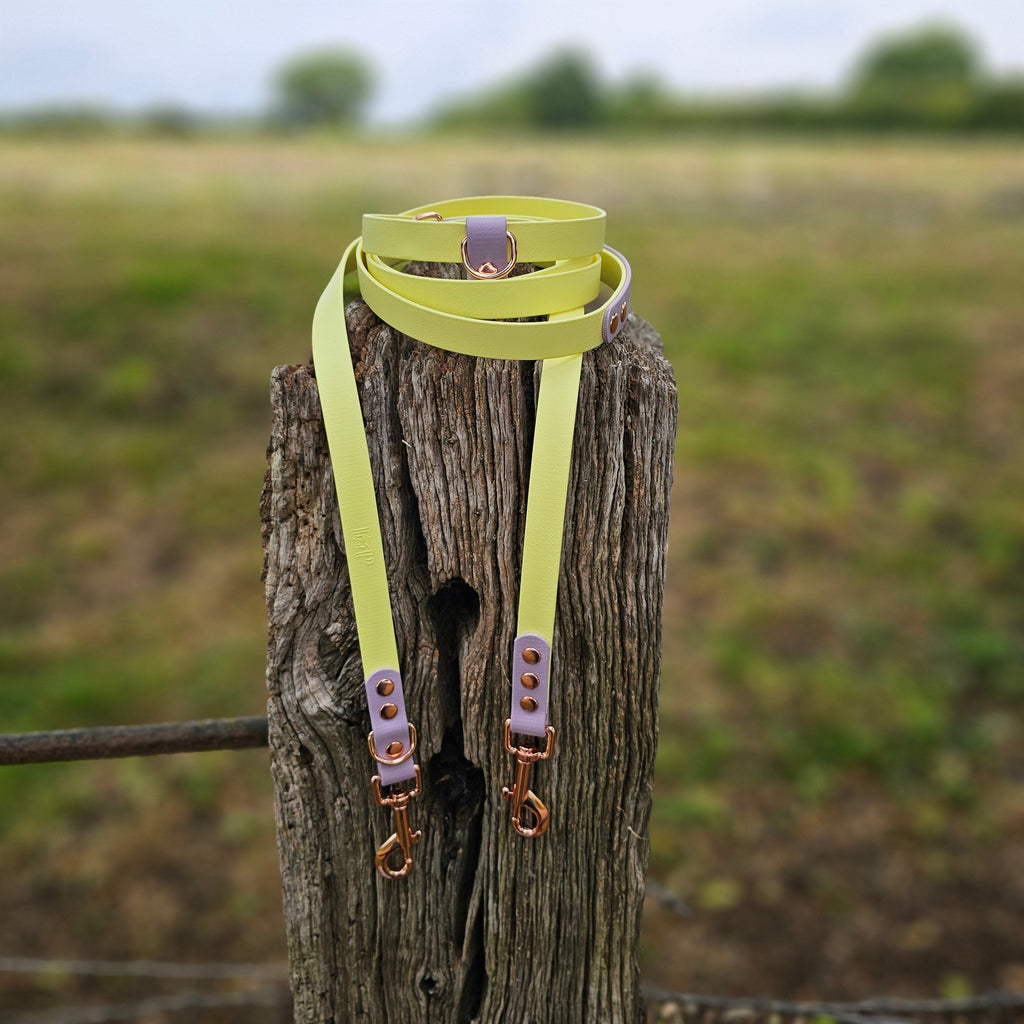 Lemon & Lilac – Waterproof BioThane© Hands-Free Dog Training Lead