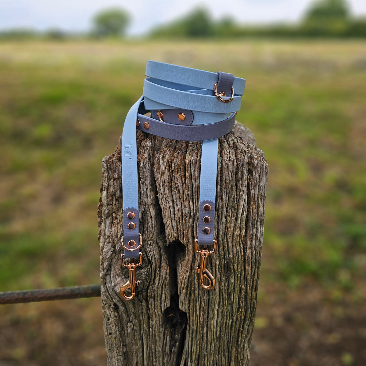 Pastel Blue & Grey – Waterproof BioThane© Hands-Free Dog Training Lead