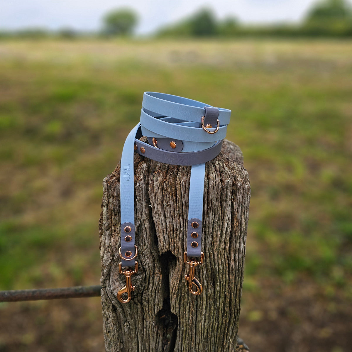 Pastel Blue & Grey – Waterproof BioThane© Hands-Free Dog Training Lead