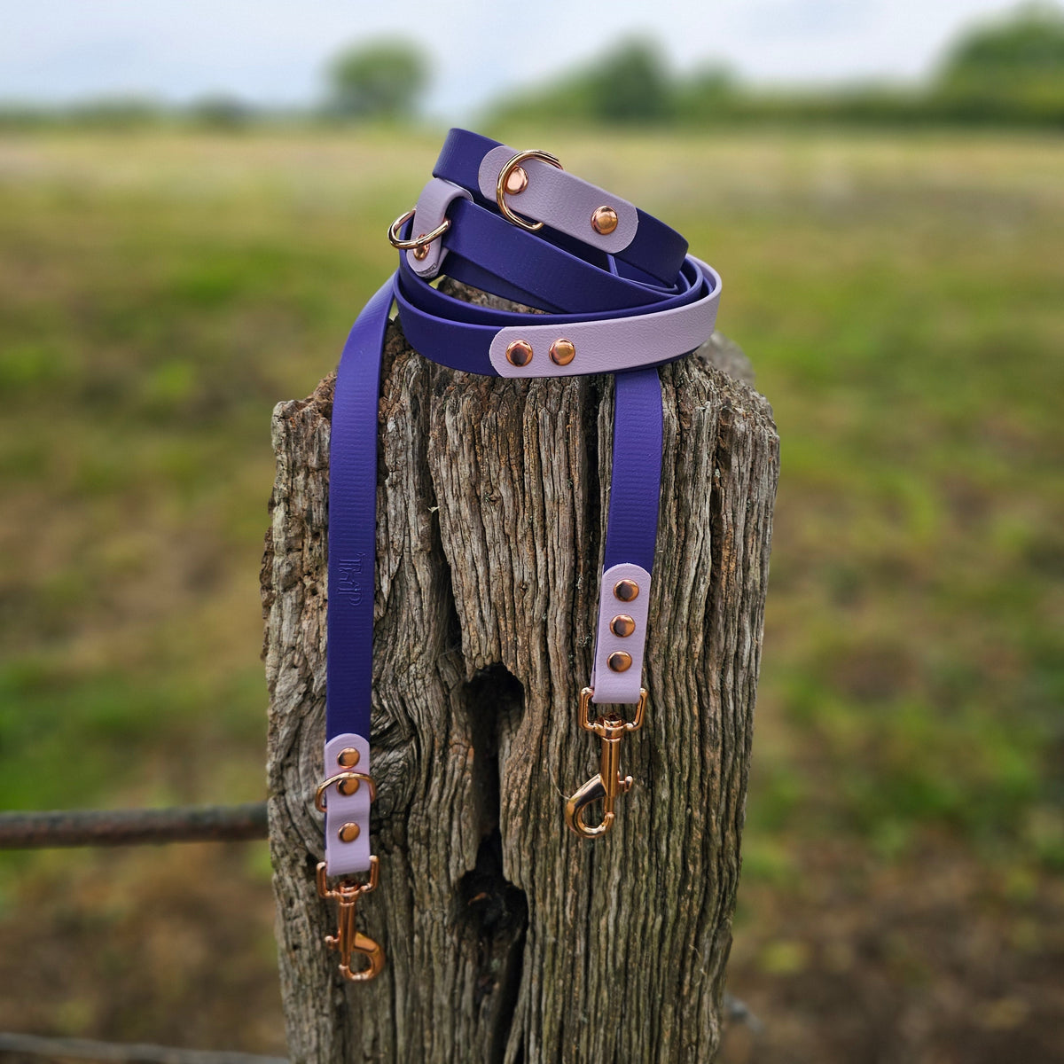 Purple & Lilac – Waterproof BioThane© Hands-Free Dog Training Lead