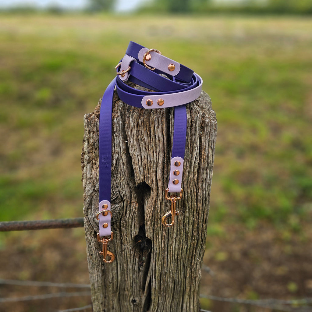 Purple & Lilac – Waterproof BioThane© Hands-Free Dog Training Lead