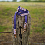 Purple & Lilac – Waterproof BioThane© Hands-Free Dog Training Lead
