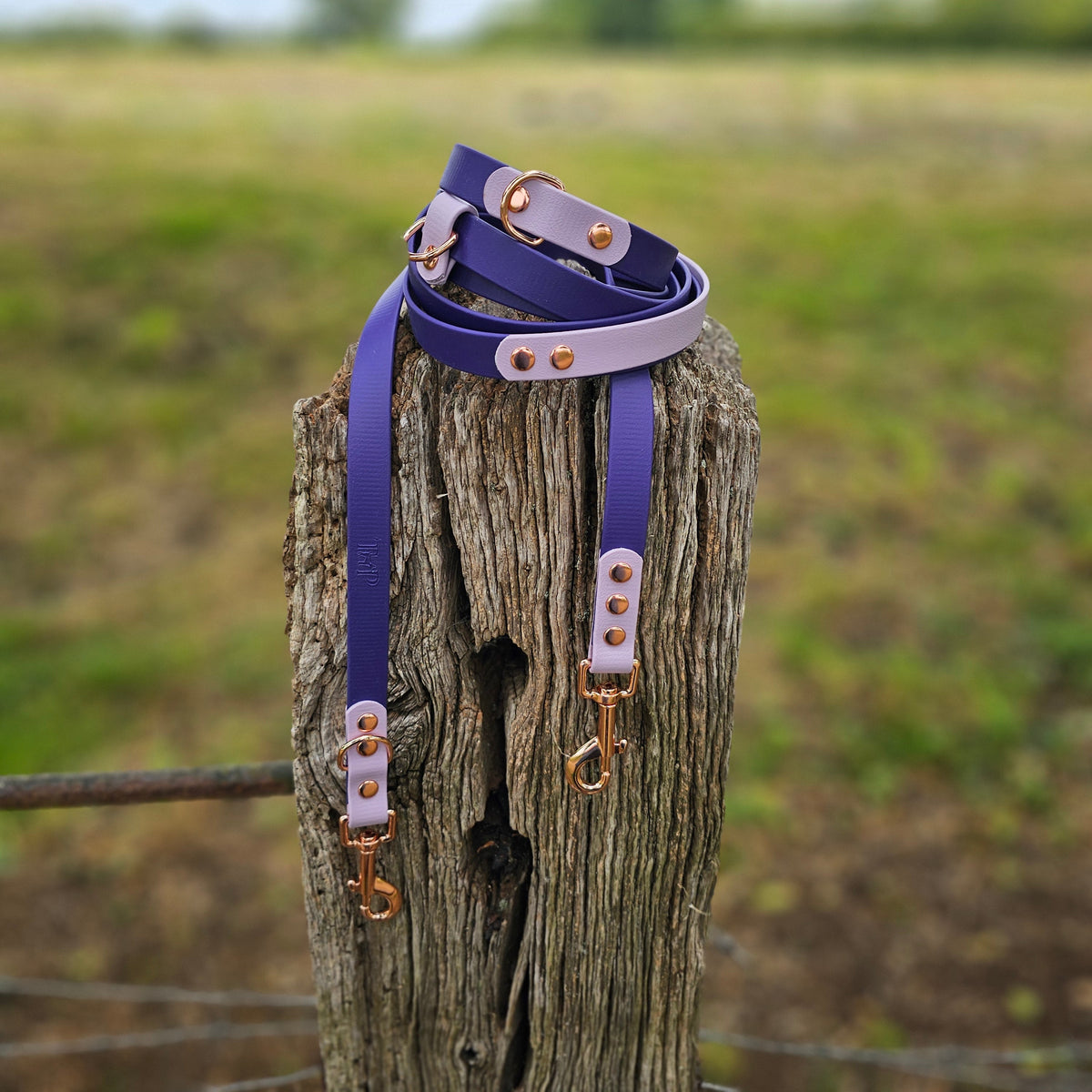 Purple & Lilac – Waterproof BioThane© Hands-Free Dog Training Lead
