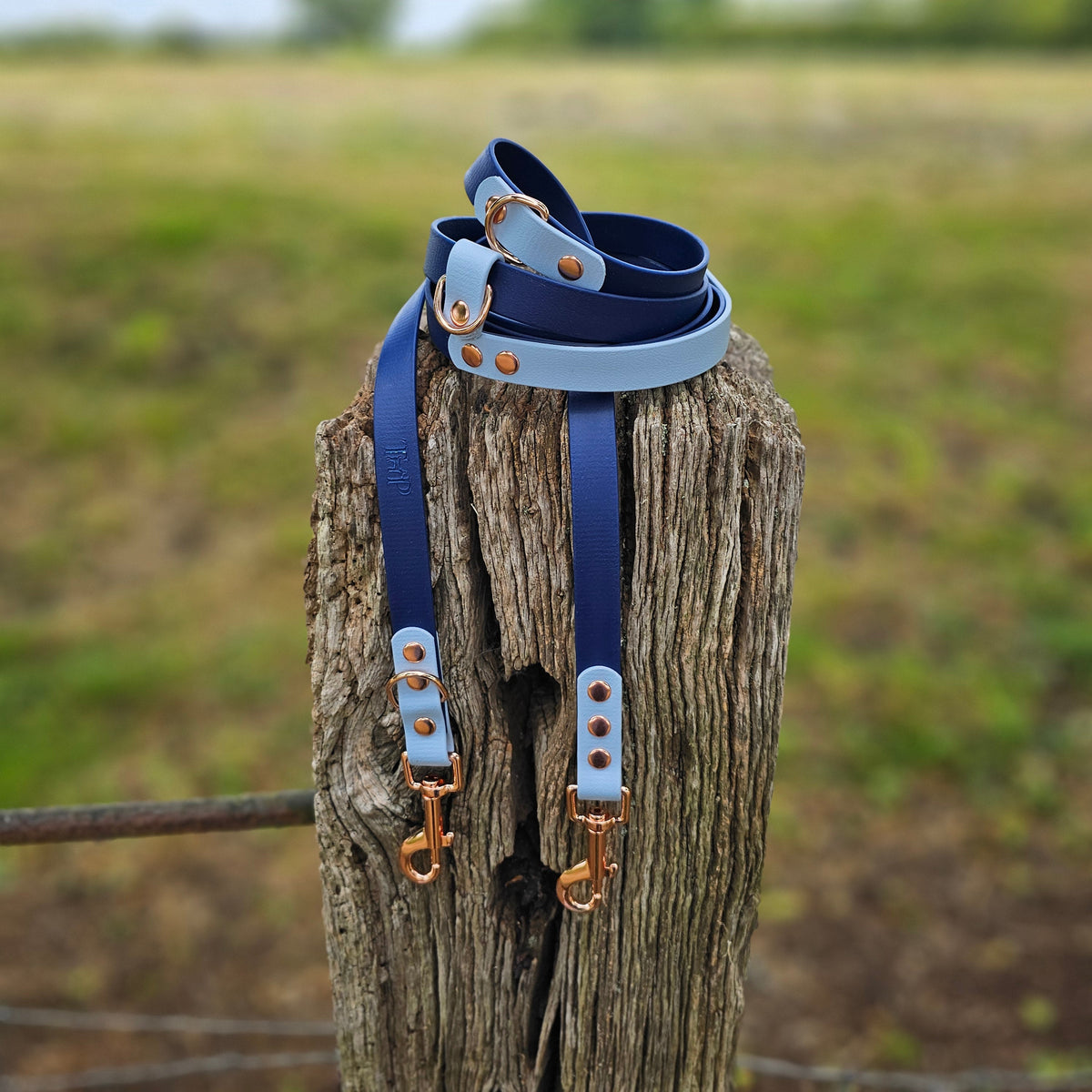 Navy & Pastel Blue – Waterproof BioThane© Hands-Free Dog Training Lead