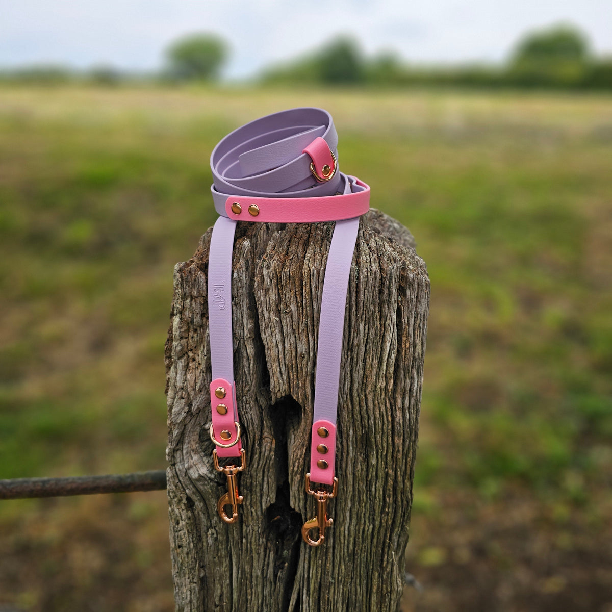 Lilac & Baby Pink – Waterproof BioThane© Hands-Free Dog Training Lead