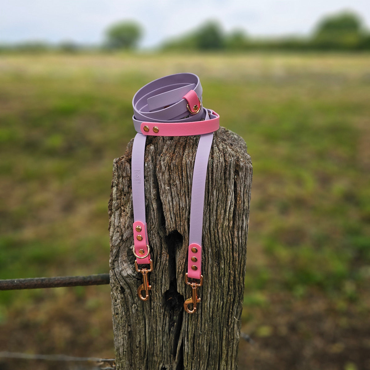 Lilac & Baby Pink – Waterproof BioThane© Hands-Free Dog Training Lead