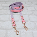 Lilac & Baby Pink – Waterproof BioThane© Hands-Free Dog Training Lead