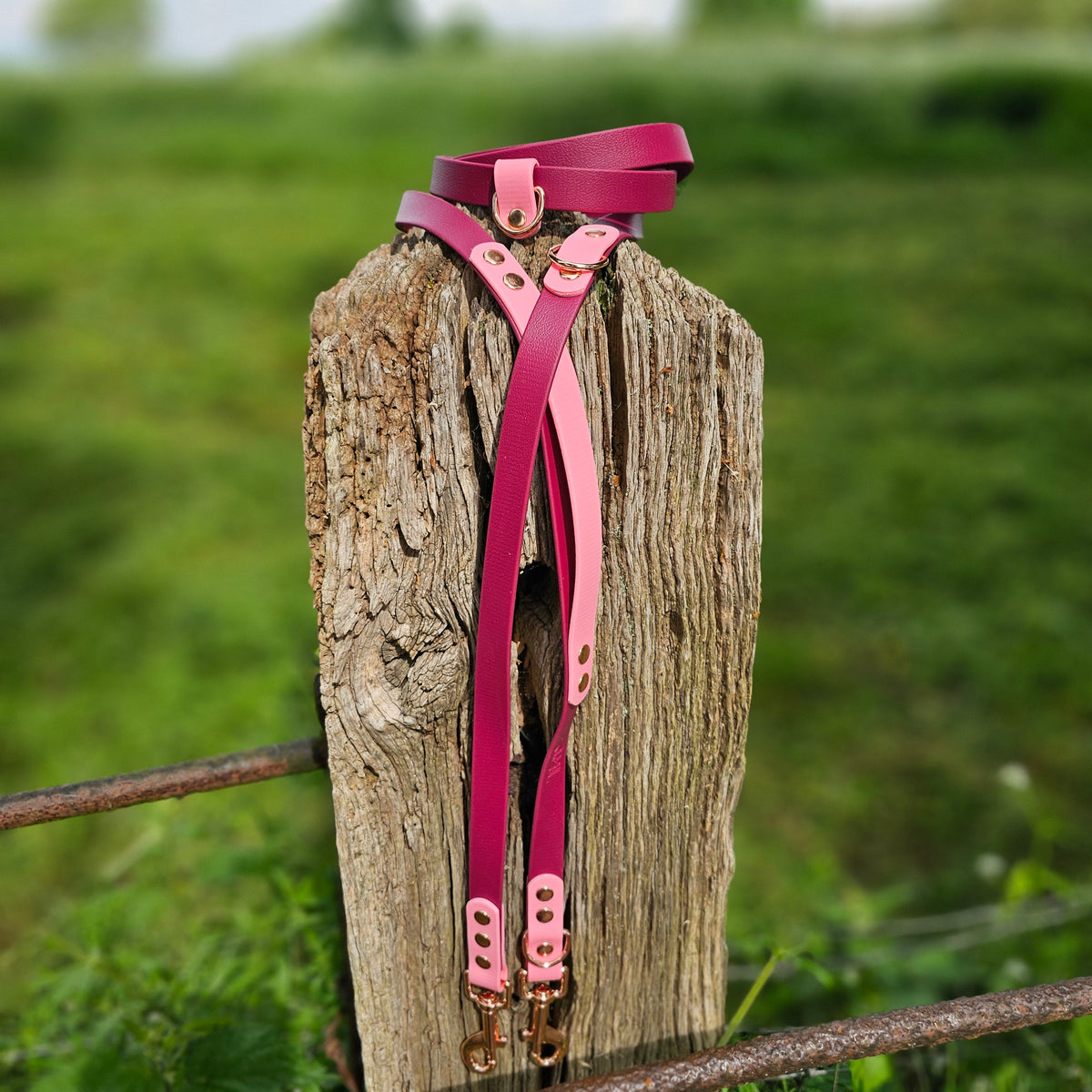 Burgundy & Baby Pink – Waterproof BioThane© Hands-Free Dog Training Lead