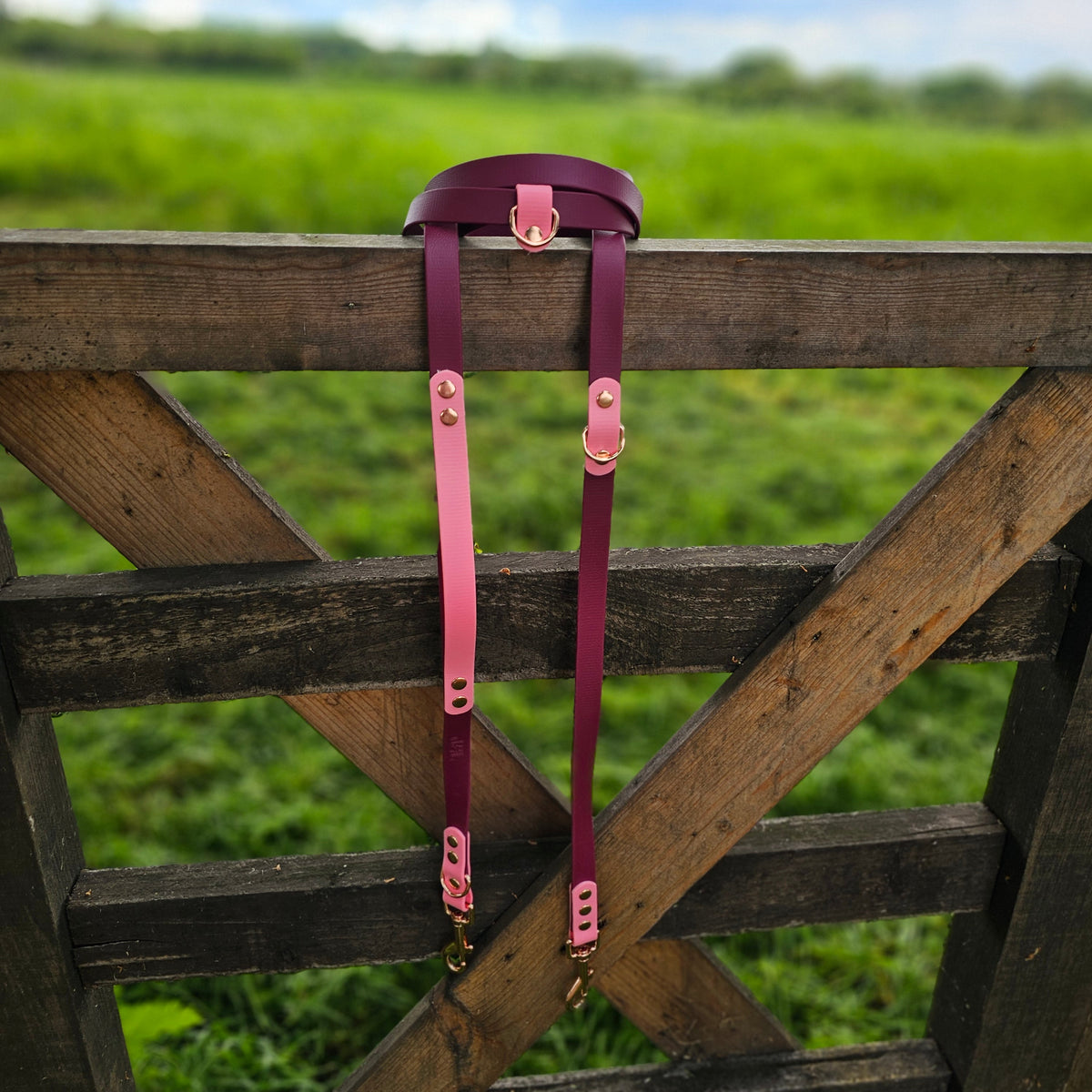 Burgundy & Baby Pink – Waterproof BioThane© Hands-Free Dog Training Lead