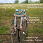 Purple & Lilac – Waterproof BioThane© Hands-Free Dog Training Lead