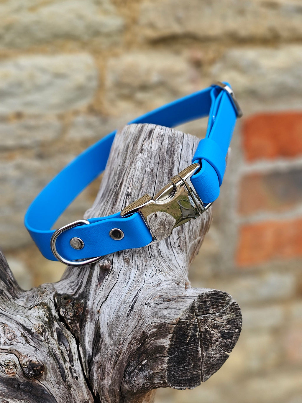Blue Everlast BioThane® Quick-Release Dog Collar