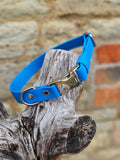 Blue Everlast BioThane® Quick-Release Dog Collar