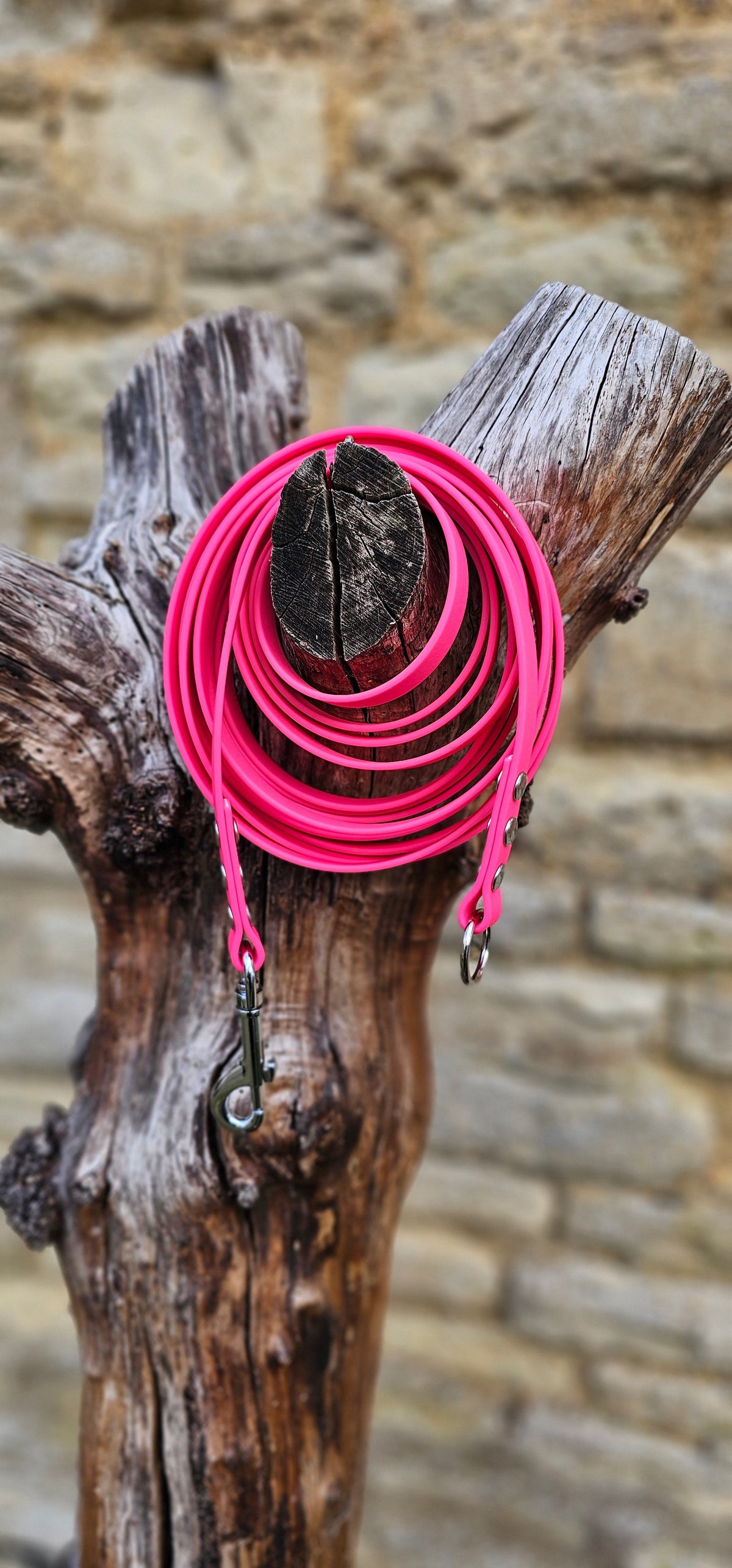 Neon Pink - Classic Waterproof Webbing Dog Long Line Lead