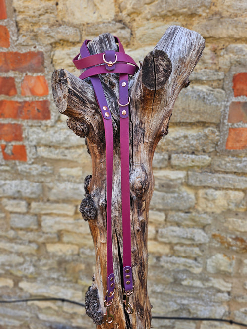 Burgundy & Aubergine – Waterproof BioThane© Hands-Free Dog Training Lead