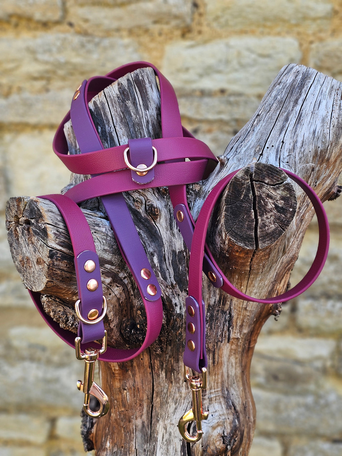 Burgundy & Aubergine – Waterproof BioThane© Hands-Free Dog Training Lead