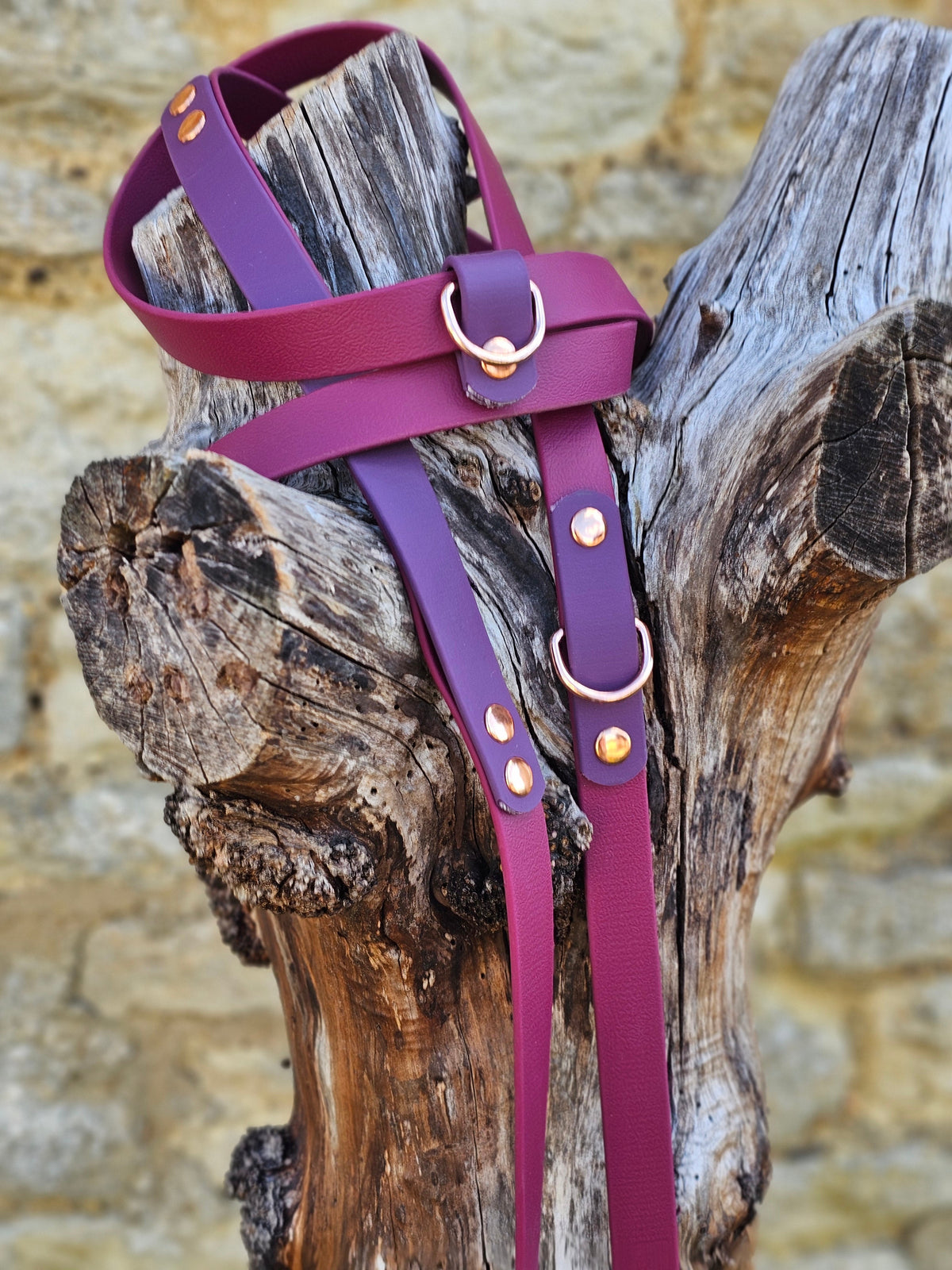 Burgundy & Aubergine – Waterproof BioThane© Hands-Free Dog Training Lead