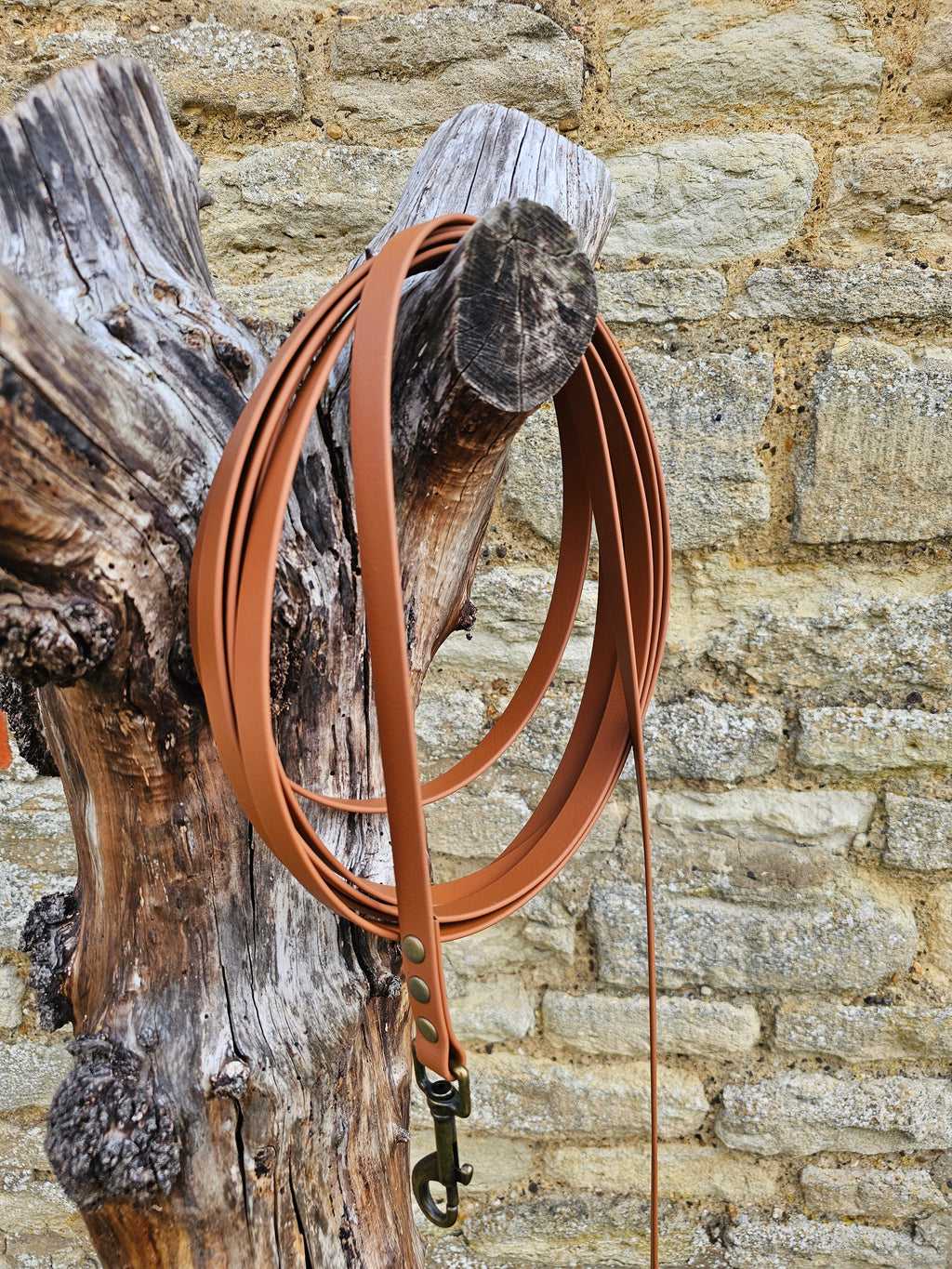 Tan - Waterproof BioThane© Dog Long Line Lead