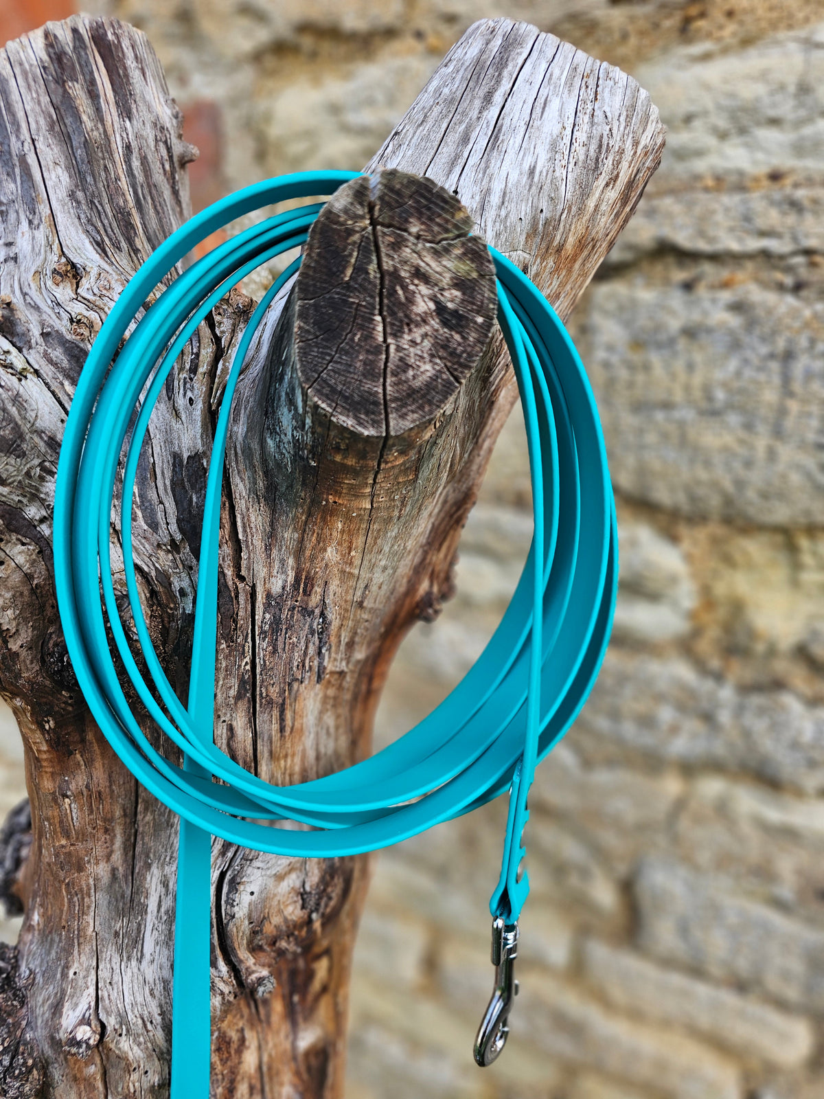 Teal – Waterproof BioThane© Dog Long Line Lead