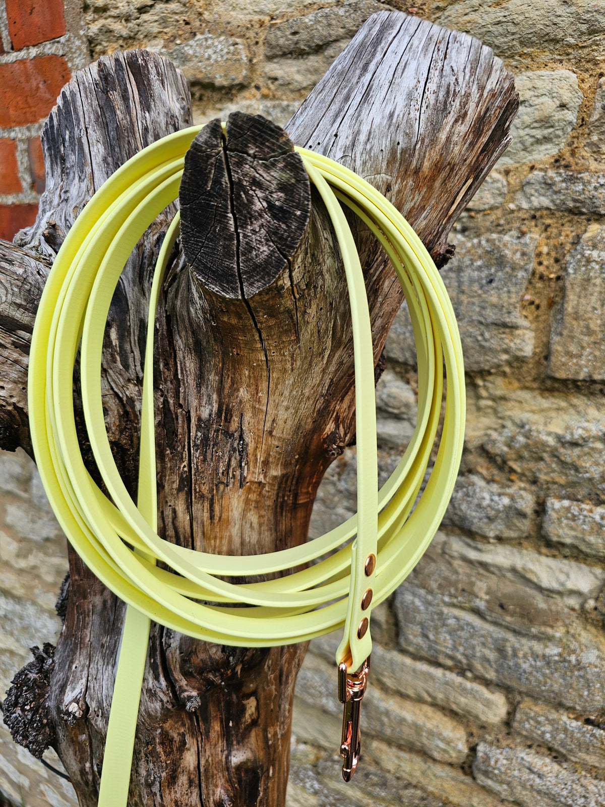 Lemon – Waterproof BioThane© Dog Long Line Lead