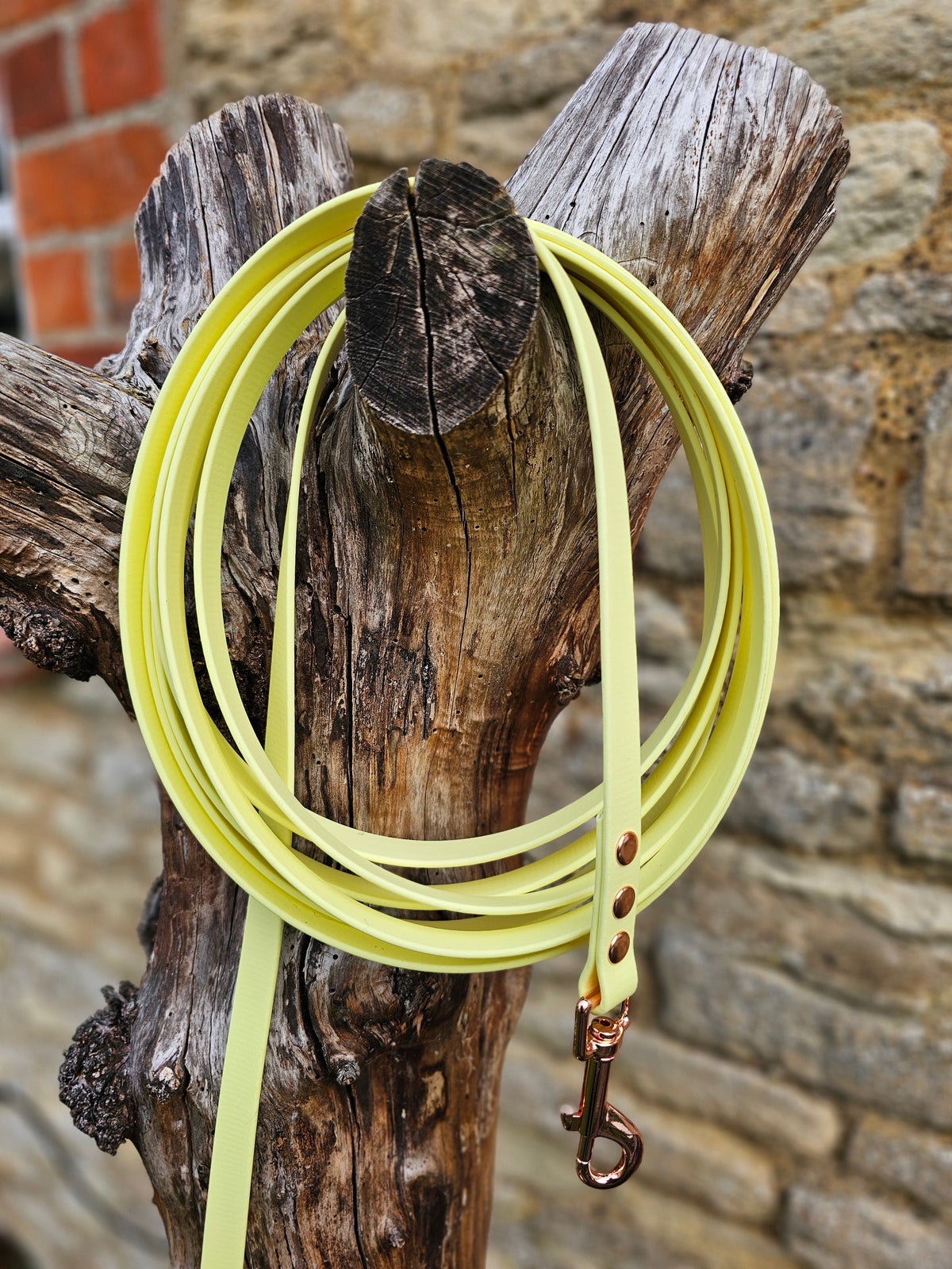 Lemon – Waterproof BioThane© Dog Long Line Lead