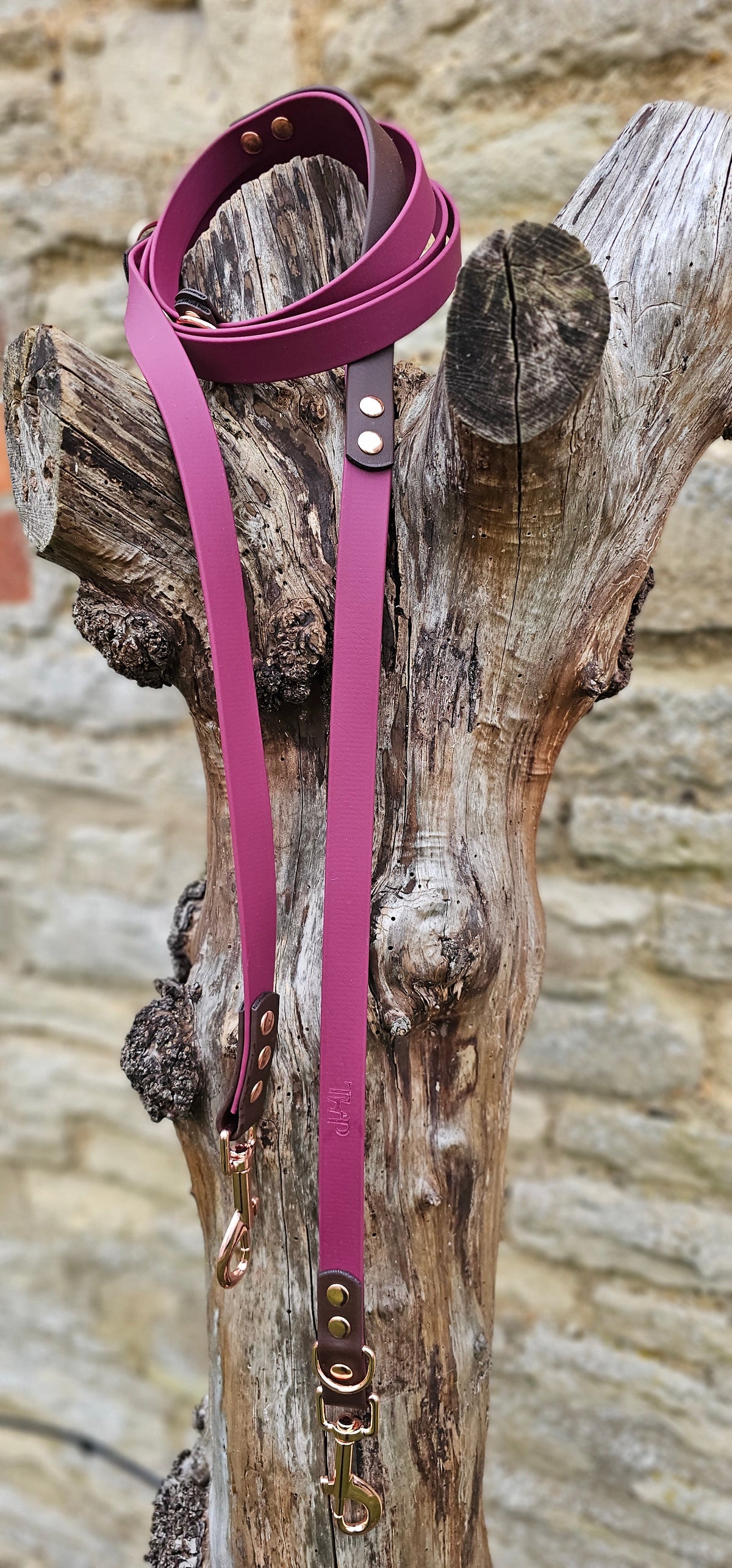 Burgundy & Dark Brown – Waterproof BioThane© Hands-Free Dog Training Lead