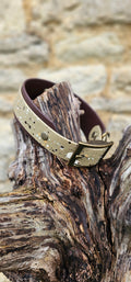 Statement Splatter Wrap Waterproof BioThane© Dog Collar - Canyon Trail