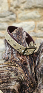 Statement Splatter Wrap Waterproof BioThane© Dog Collar - Canyon Trail