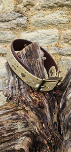 Statement Splatter Wrap Waterproof BioThane© Dog Collar - Canyon Trail