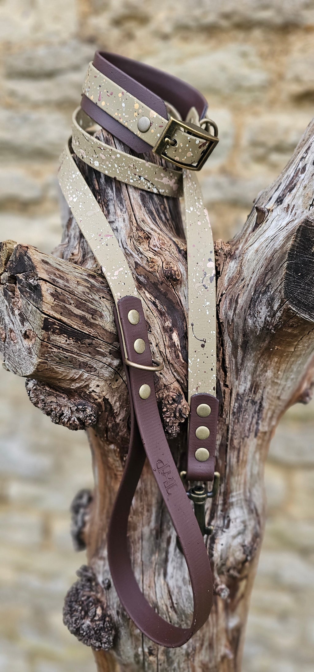 Statement Splatter Wrap Waterproof BioThane© Dog Collar - Canyon Trail