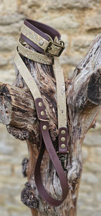 Waterproof BioThane© Splatter Dog Lead - Canyon Trail