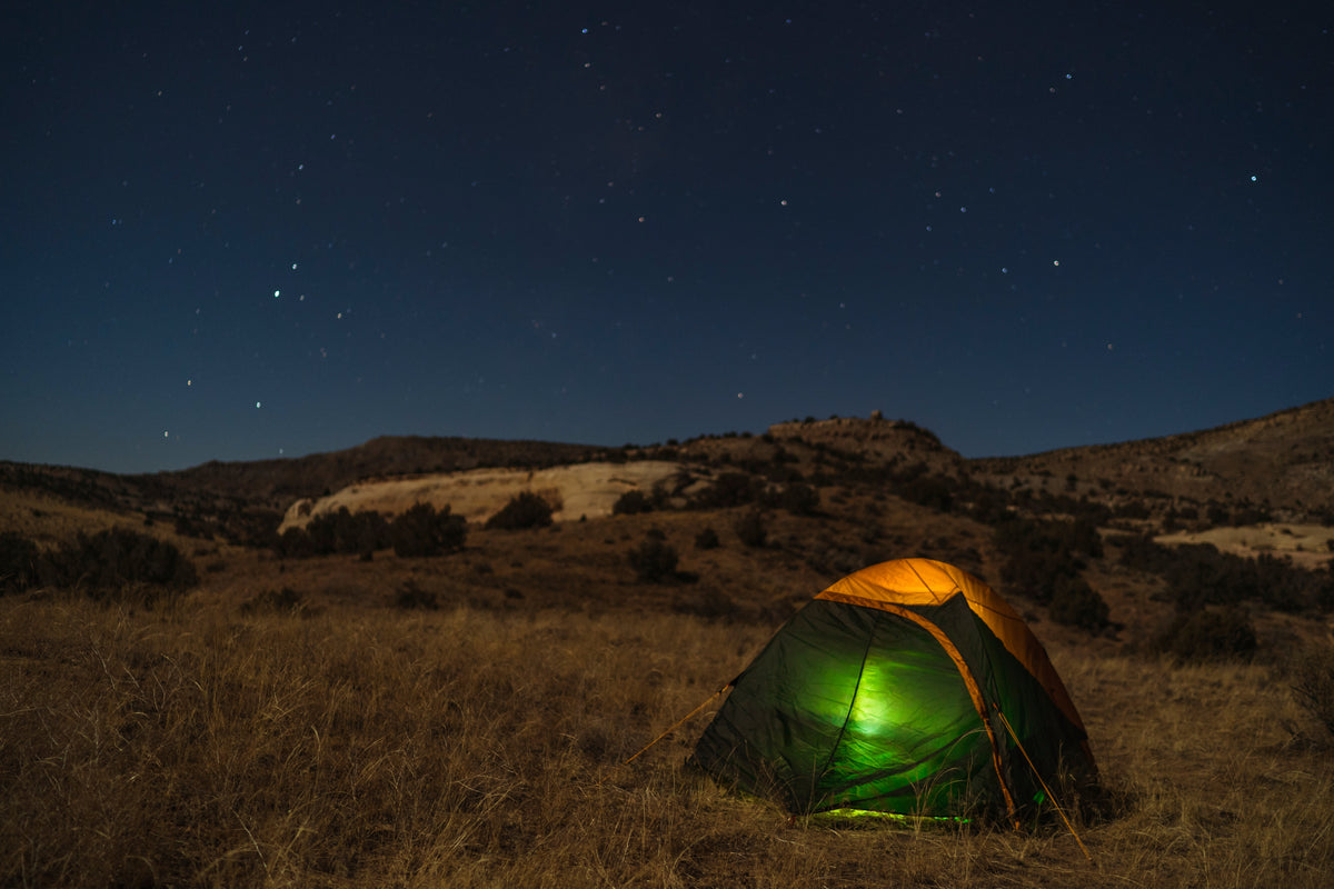 Kelty Grand Mesa 4 Person Tent - Beluga/Golden Oak