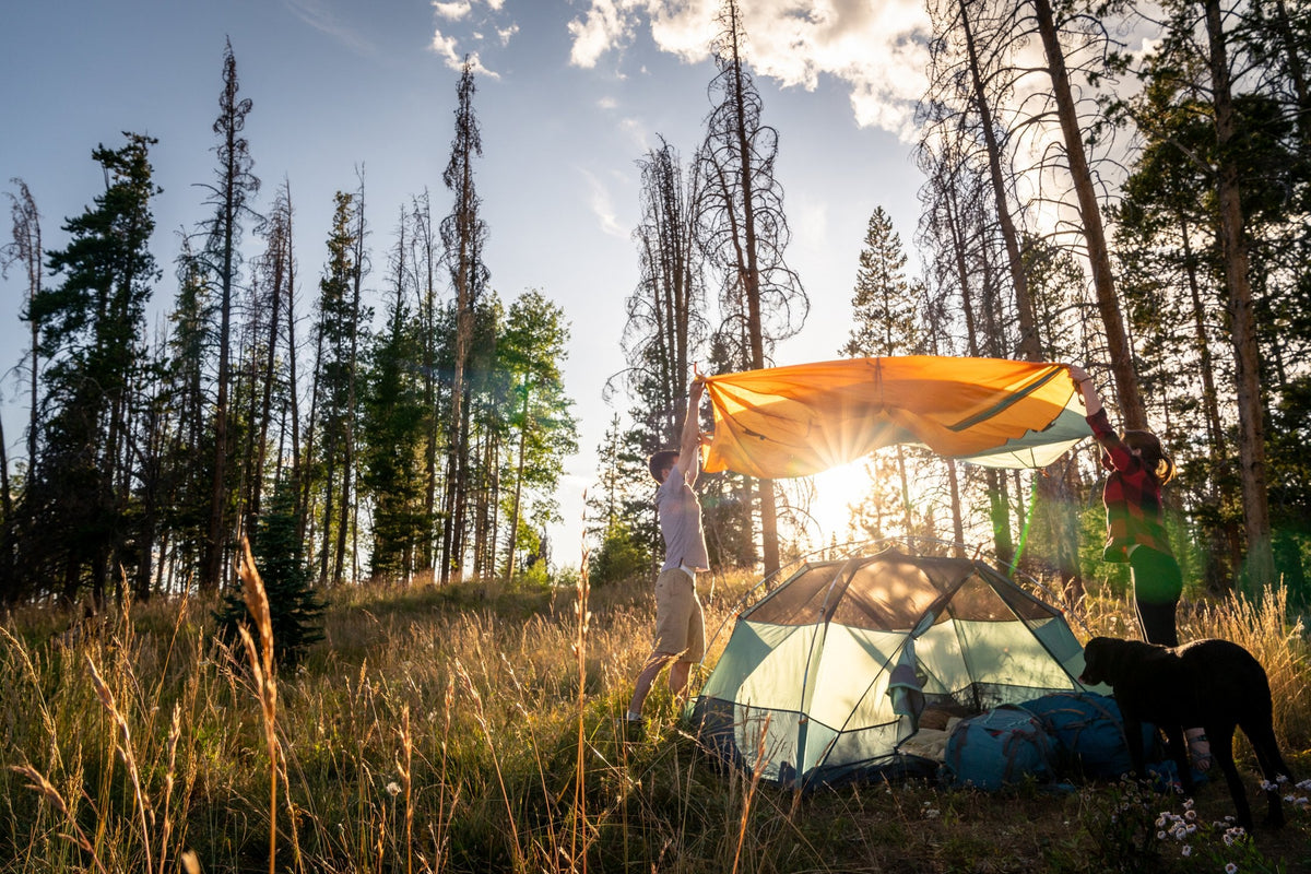 Kelty Wireless 4 Person Tent - Malachite/Golden Oak