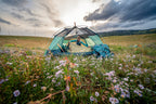 Kelty Wireless 4 Person Tent - Malachite/Golden Oak