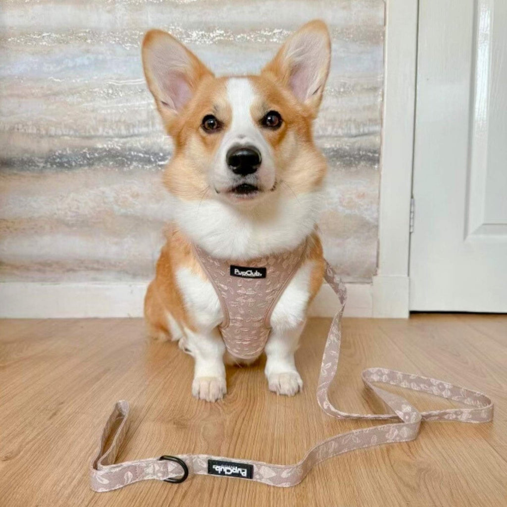 PupClub Luxe Adjustable Dog Harness – Toffee Latte Petals