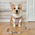 PupClub Luxe Adjustable Dog Harness – Toffee Latte Petals