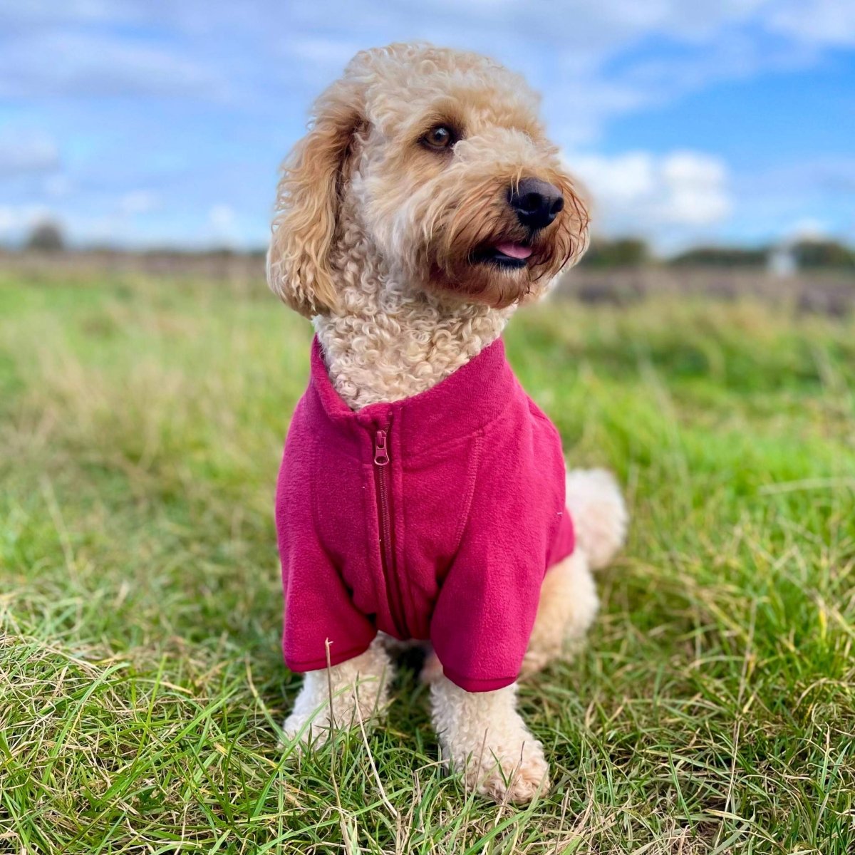 Dog Fleece Coat – Berry Red