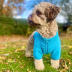 Dog Fleece Coat – Blue