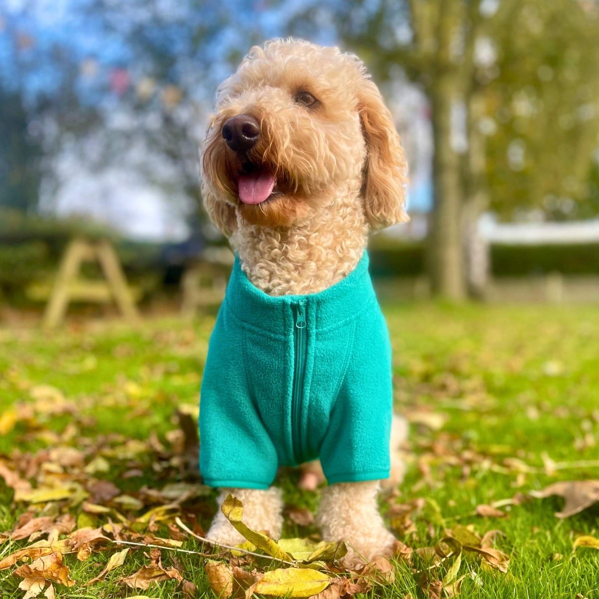 Dog Fleece Coat – Green