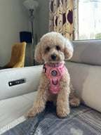 Rugged Rover™ No-Pull Dog Harness – Peachy Hearts