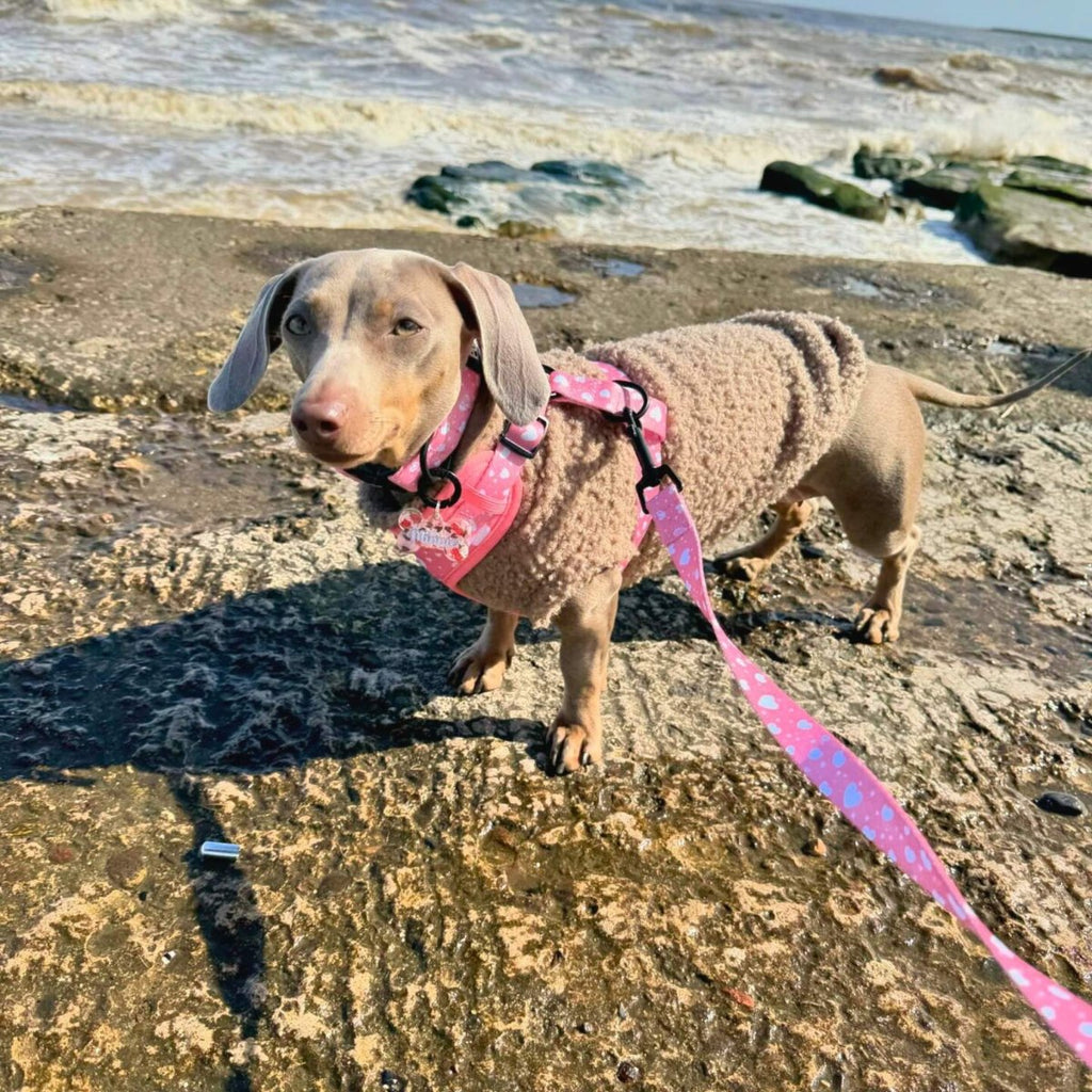 PupClub Dog Lead – Peachy Hearts