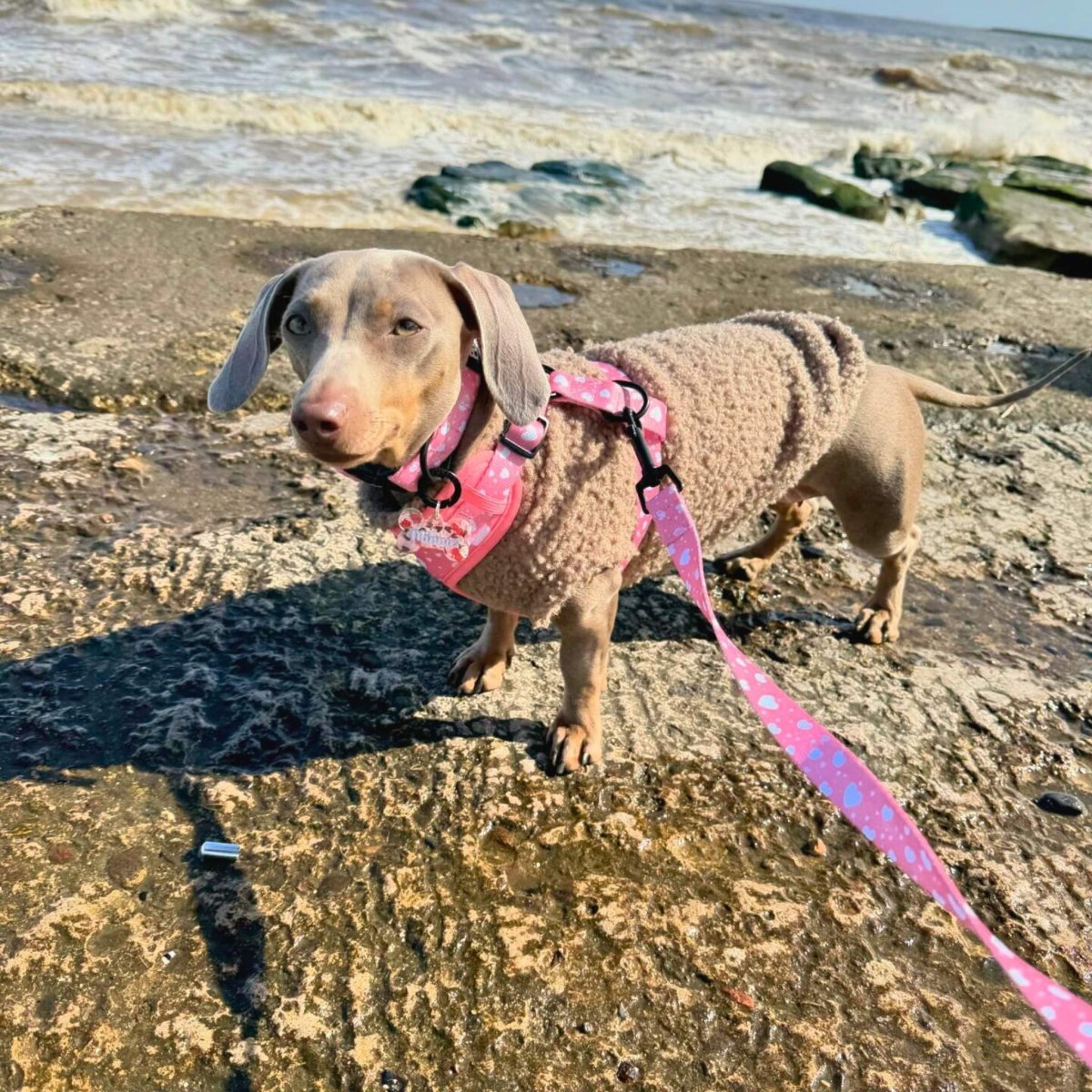PupClub Dog Lead – Peachy Hearts