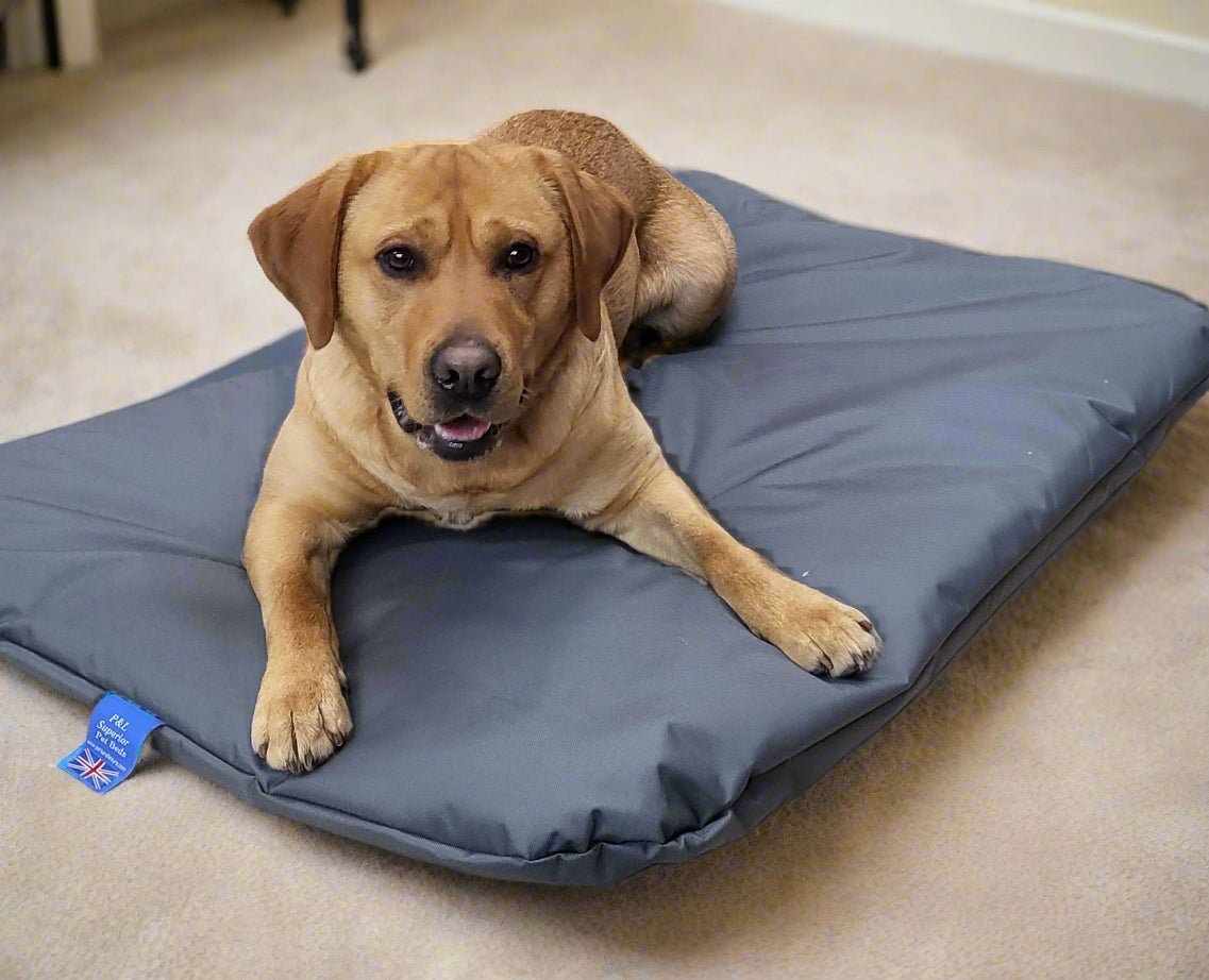 Country Dog Heavy Duty Waterproof Pet Duvet