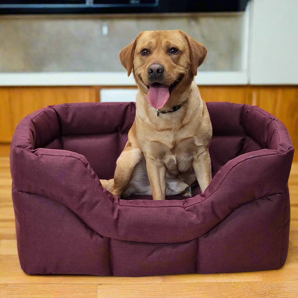 Country Dog Heavy Duty Waterproof Rectangular Dog Bed